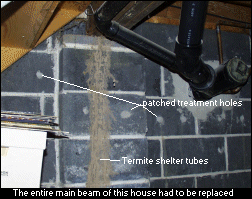 termite shelter tubes