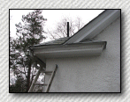 soffit repair for squirrel exclusion