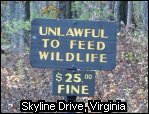 DON'T FEED THE WILDLIFE!