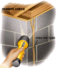 termite shelter tube